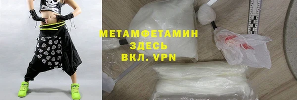 прущие грибы Пересвет