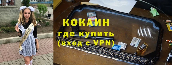 прущие грибы Пересвет