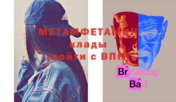 прущие грибы Пересвет
