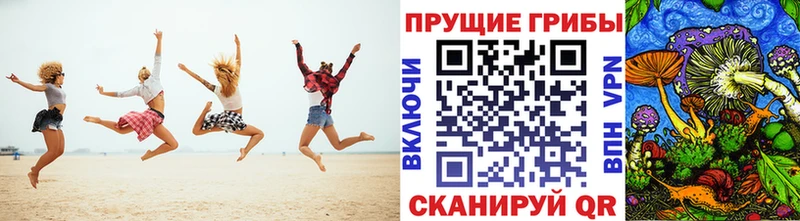 Купить  Канаш  Галлюциногенные грибы мухоморы 