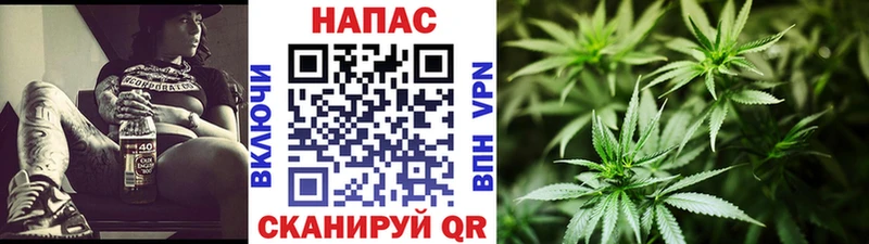 Купить  Канаш  Бошки марихуана Ganja 